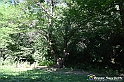 VBS_4820 - Il bosco fatato - Montaldo Roero